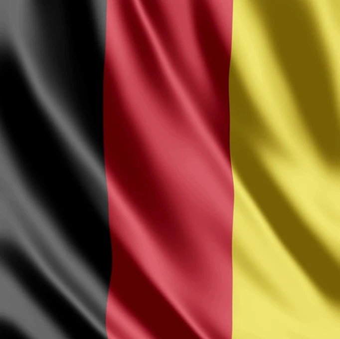 Examiner Country Flag image