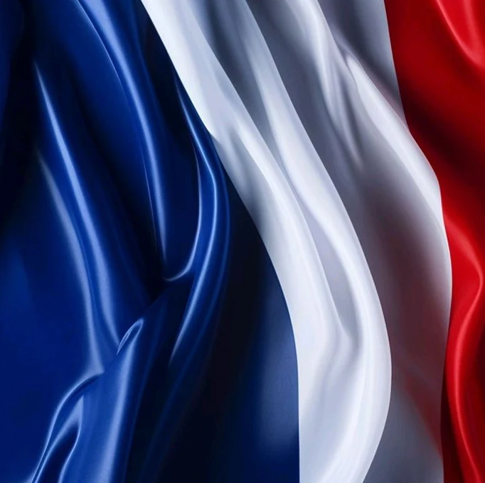 Examiner Country Flag image