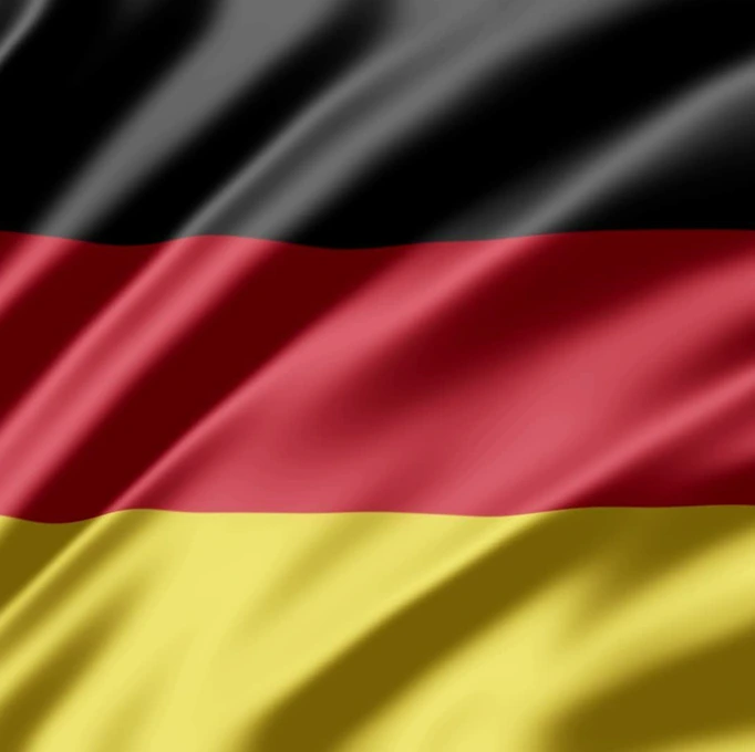 Examiner Country Flag image